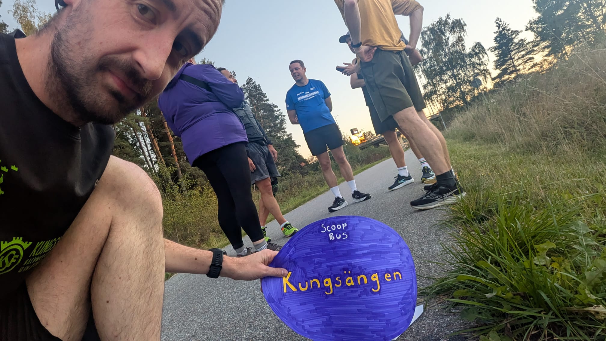 Run Reports