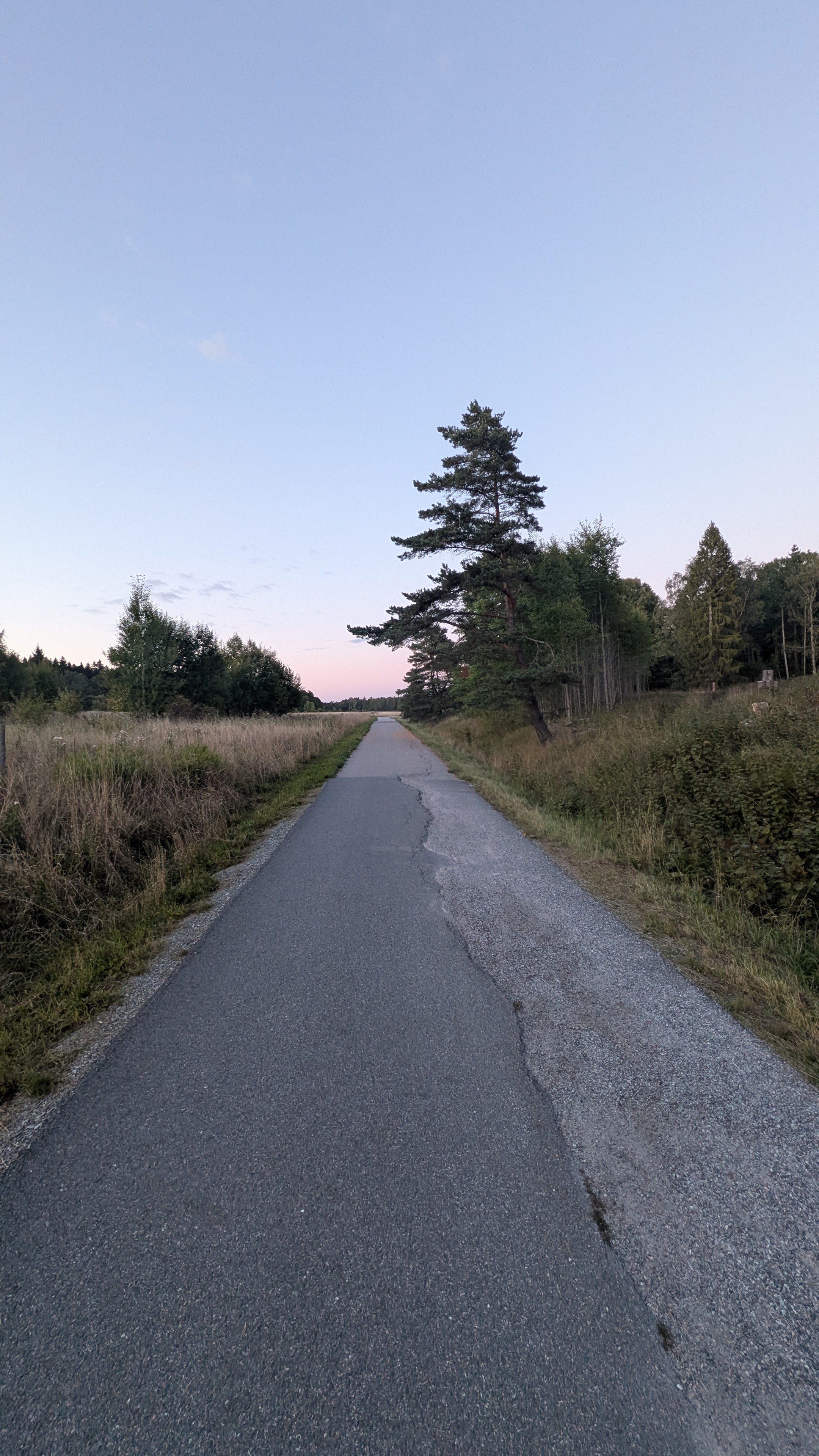 Photo from Kungsängen Parkrun